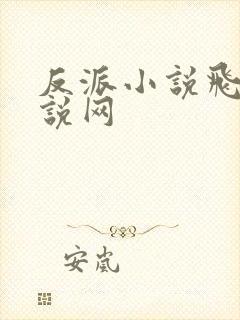 反派小说飞卢小说网