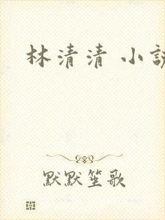 林清清 小说