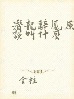 潜龙辞凤原著小说叫什么封面