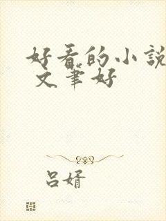 好看的小说推荐 文笔好