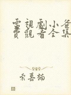 电视剧小爸爸免费观看全集国语版