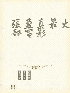 张盈真最火的三部电影