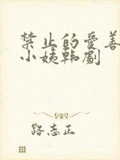 禁止的爱善良的小姨韩剧