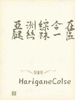 亚洲综合在线美腿丝袜一区