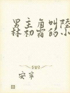 男主角叫陆怀瑾林初霜的小说