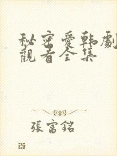 秘密爱韩剧在线观看全集封面