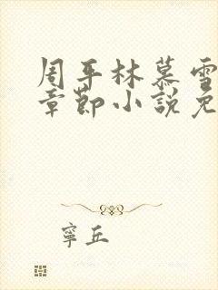 周平林慕雪最新章节小说免费阅读封面