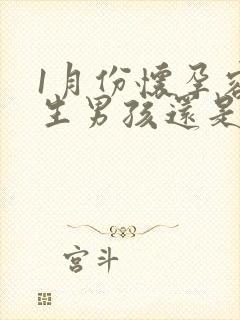 1月份怀孕容易生男孩还是女孩