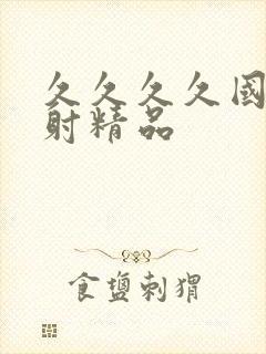 久久久久国产内射精品