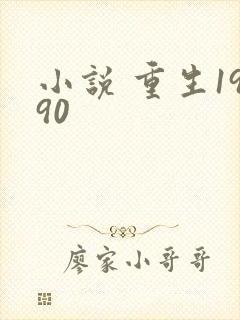 小说 重生1990封面