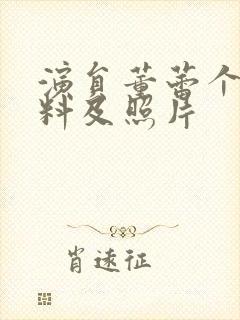 演员董蕾个人资料及照片封面