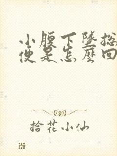 小腹下坠总想大便是怎么回事封面