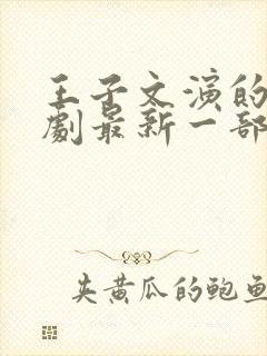 王子文演的电视剧最新一部