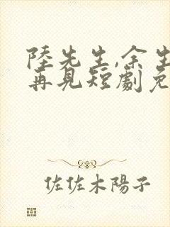 陆先生,余生不再见短剧免费