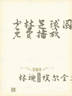 少林足球国语版免费播放封面