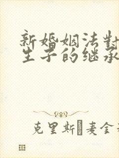 新婚姻法对非婚生子的继承权规定