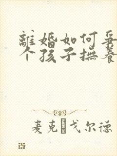 离婚如何争取两个孩子抚养权