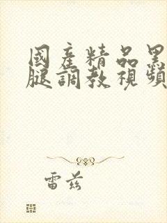 国产精品黑丝美腿调教视频