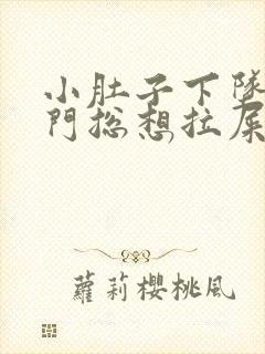 小肚子下坠疼肛门总想拉屎拉不出来