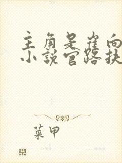 主角是崔向东的小说官路扶摇