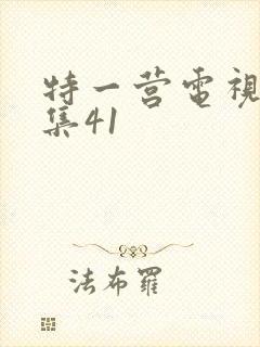 特一营电视剧全集41
