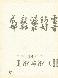 成毅演的电视剧哪部最好看封面