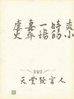 虐妻一时爽追妻火葬场的小说