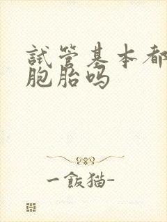 试管基本都是双胞胎吗