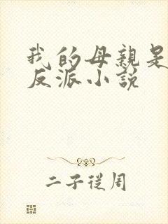 我的母亲是最大反派小说