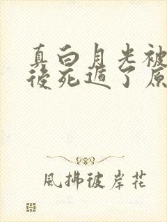真白月光被替身后死遁了原著作者
