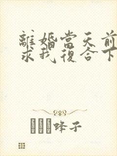 离婚当天前夫跪求我复合下载全本封面