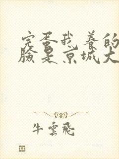 完蛋我养的小白脸是京城大佬短剧