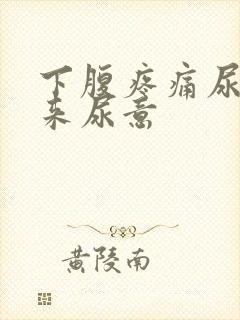 下腹疼痛尿不出来尿意