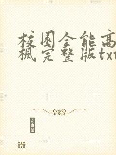 校园全能高手季枫完整版txt下载