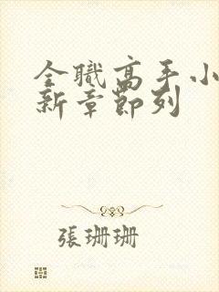 全职高手小说最新章节列