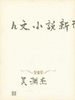 h文小说新御