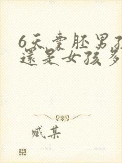 6天囊胚男孩多还是女孩多