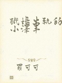 职场出轨的人妻小泽丰