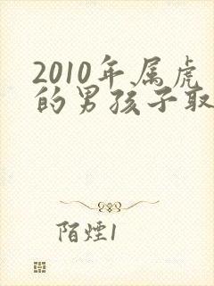 2010年属虎的男孩子取名大全