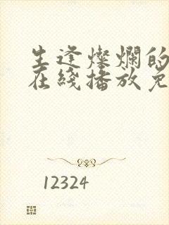 生逢灿烂的日子在线播放免费封面