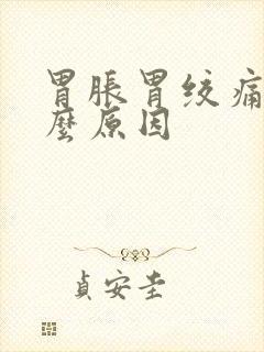 胃胀胃绞痛是什么原因封面