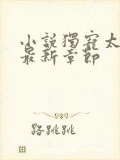 小说独宠太子妃最新章节