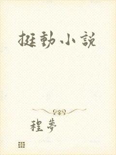 挺动小说