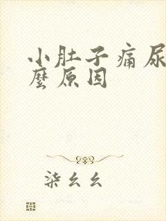 小肚子痛尿黄什么原因