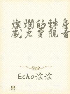 灿烂的转身电视剧免费观看完整版高清封面