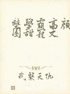 双学霸高颜值校园甜宠文封面