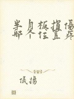 半月板损伤膝盖哪个位置疼