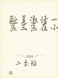 欧美激情一区二区三区在小说