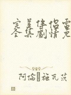 完美伴侣电视剧全集剧情免费观看