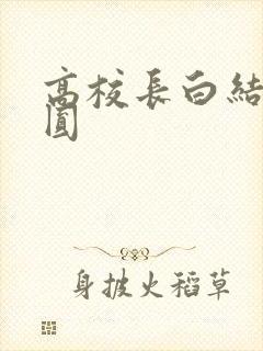 高校长白结大团圆